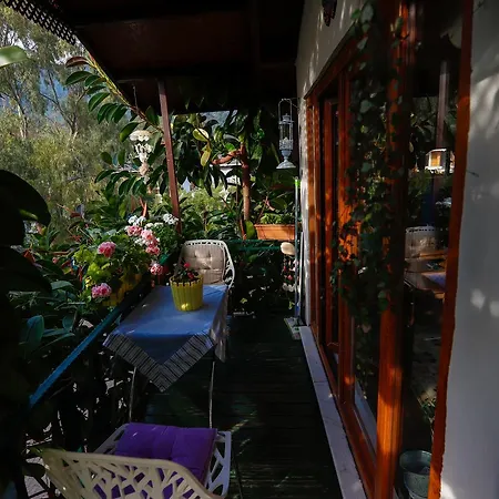 Elvan Icmeler Daily Weekly Marmaris